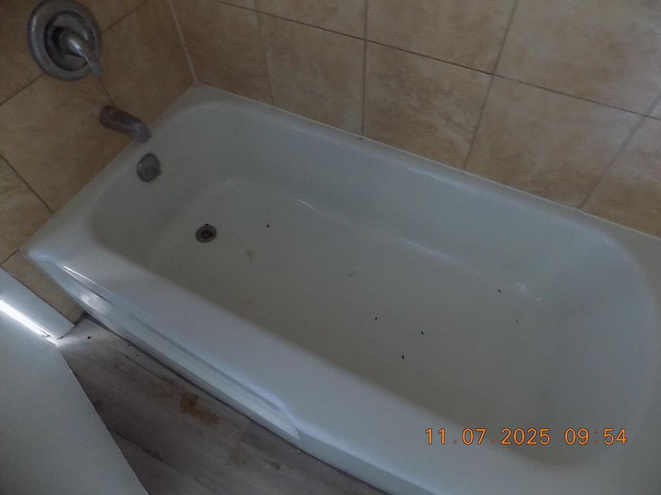 DSCN9673