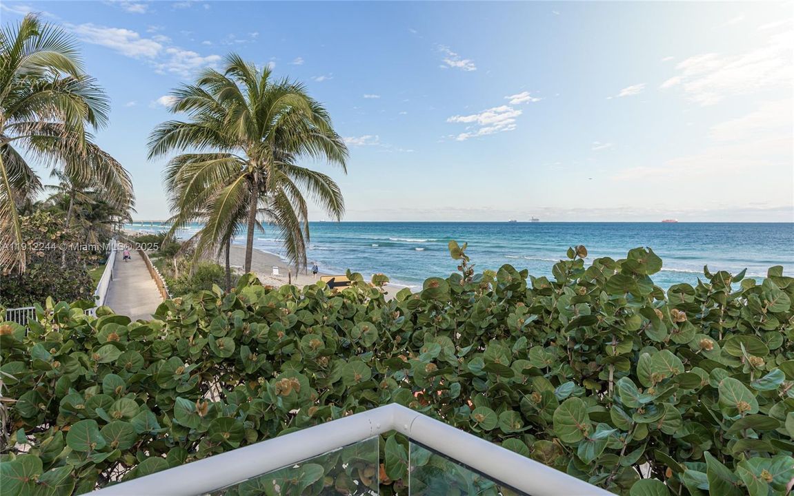 View from the Terrace