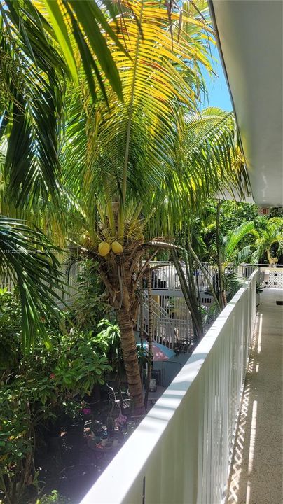 合同活跃: $1,600 (0 贝兹, 1 浴室, 0 平方英尺)