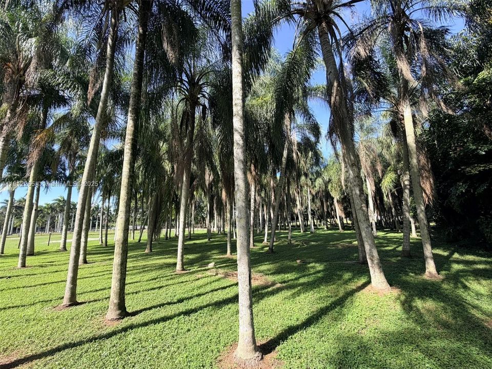 待售: $2,099,999 (3 贝兹, 2 浴室, 2532 平方英尺)