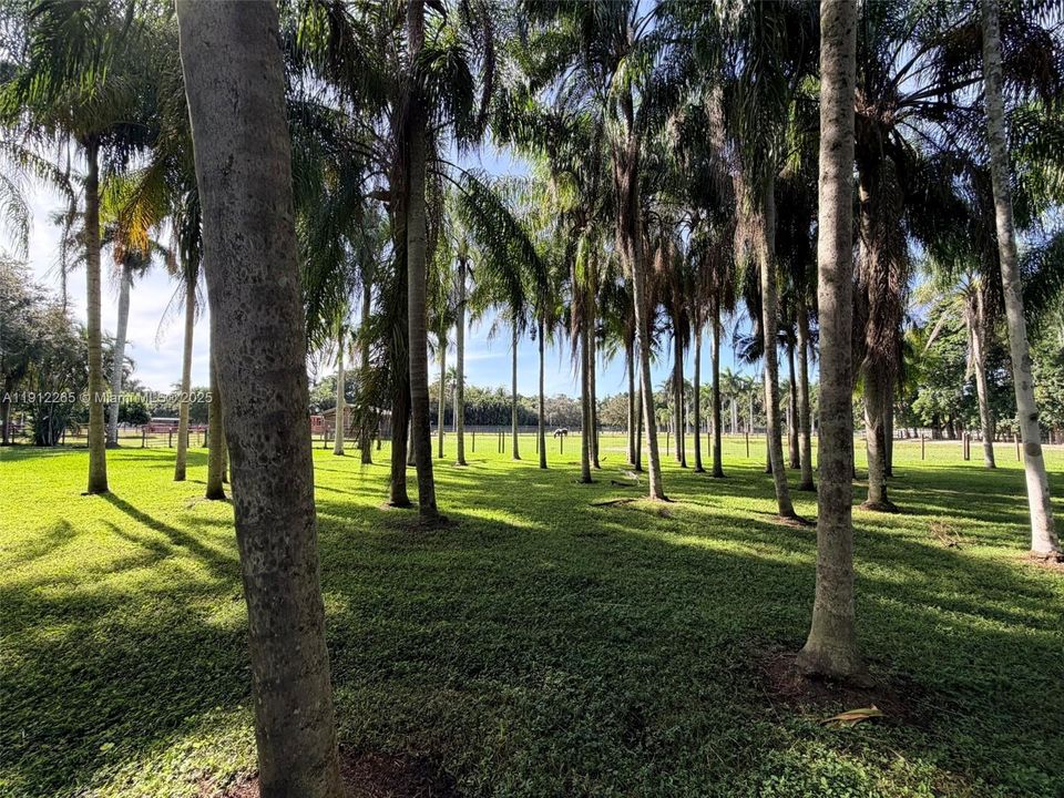 待售: $2,099,999 (3 贝兹, 2 浴室, 2532 平方英尺)