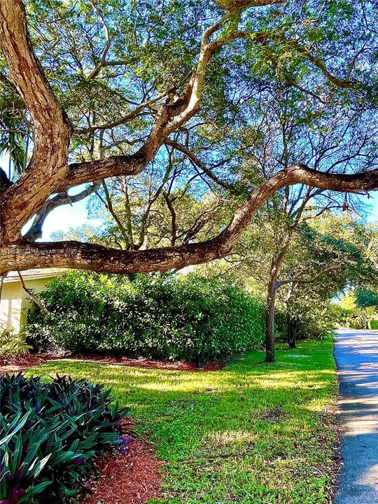 合同活跃: $1,499,999 (4 贝兹, 2 浴室, 1822 平方英尺)