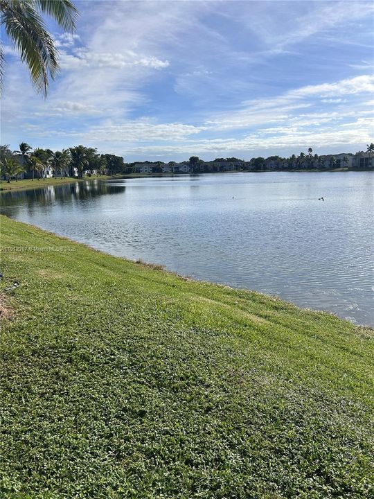 最近租的: $2,000 (3 贝兹, 2 浴室, 1195 平方英尺)