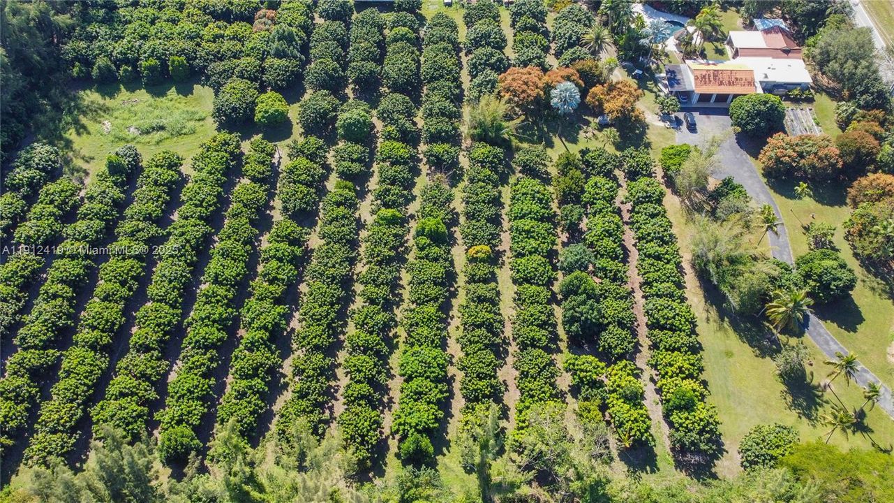 На продажу: $6,900,000 (0 спален, 0 ванн, 0 Квадратных фут)