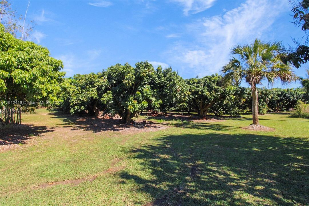 На продажу: $6,900,000 (0 спален, 0 ванн, 0 Квадратных фут)