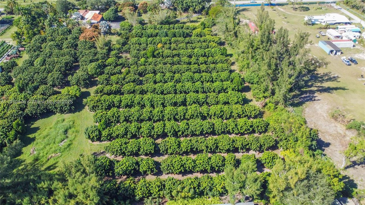 For Sale: $6,900,000 (2 beds, 3 baths, 7280 Square Feet)