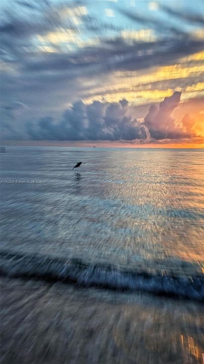 待售: $695,000 (1 贝兹, 1 浴室, 871 平方英尺)