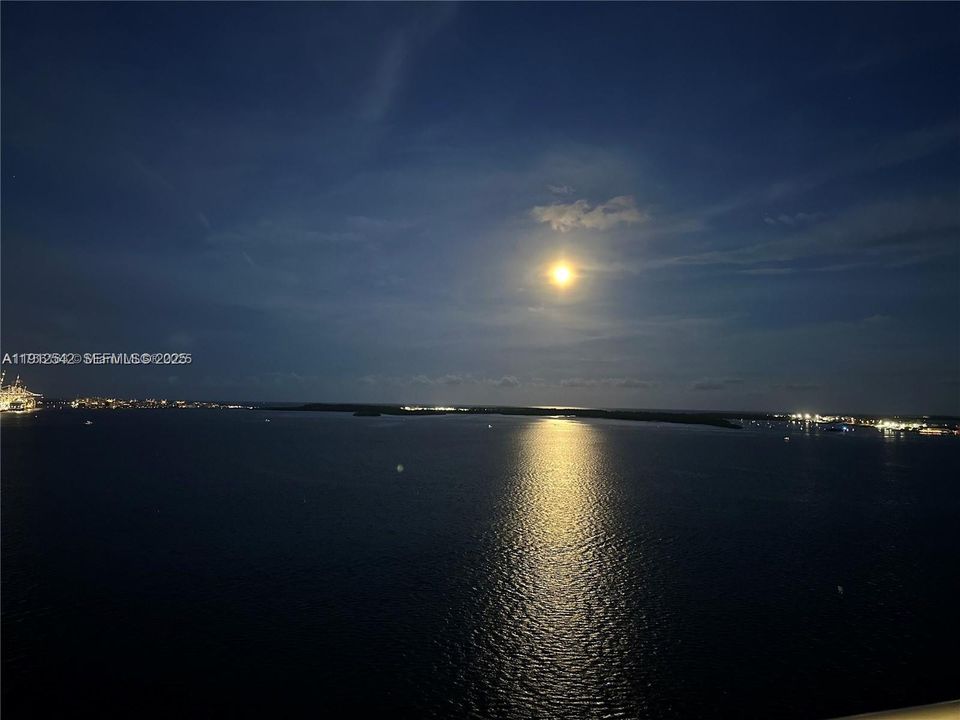 待售: $1,825,000 (2 贝兹, 2 浴室, 1572 平方英尺)