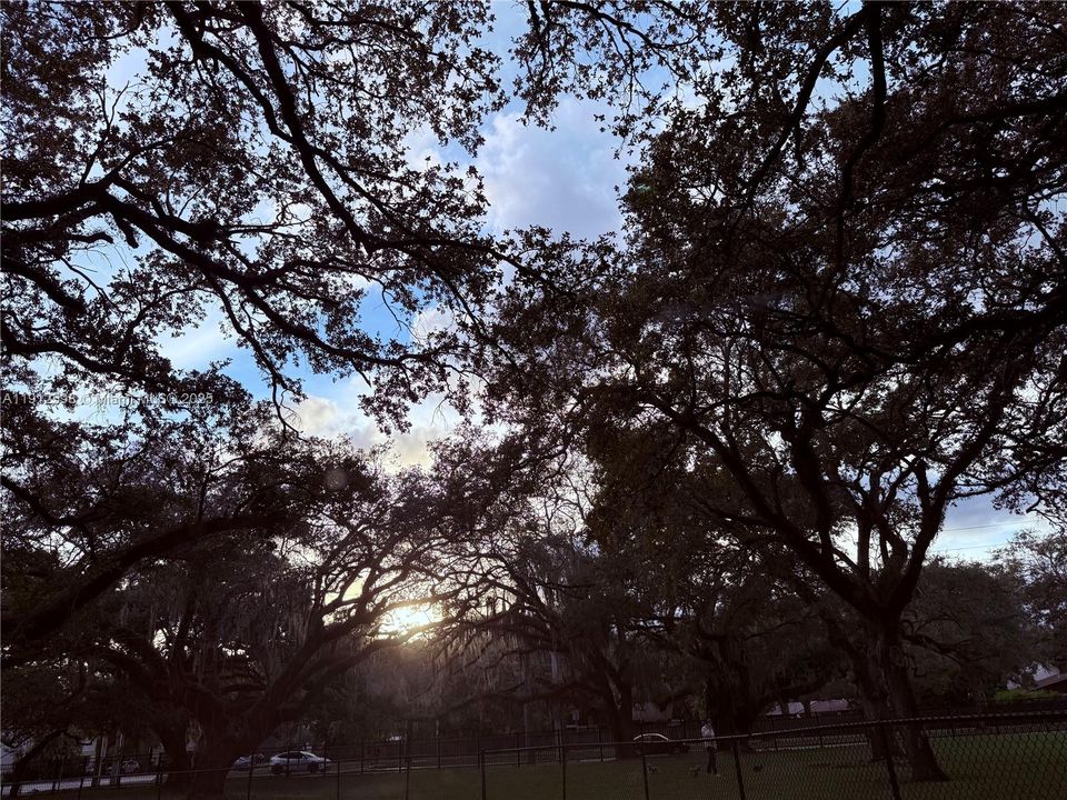 На продажу: $299,900 (3 спален, 2 ванн, 1700 Квадратных фут)