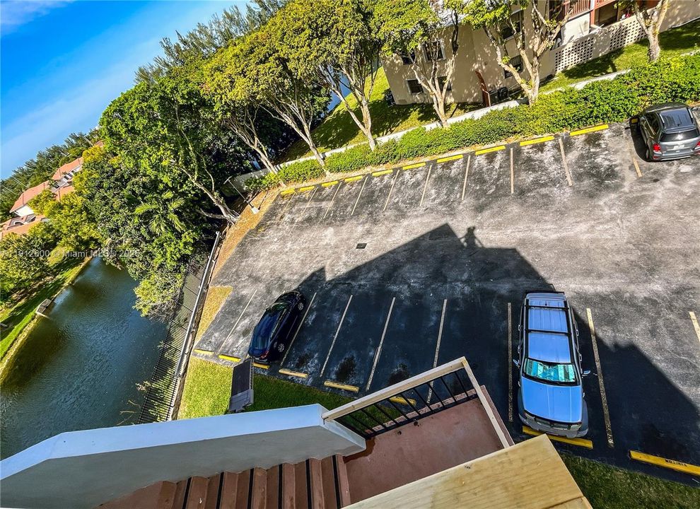 Ample Guest Parking (All Yellow Spaces)