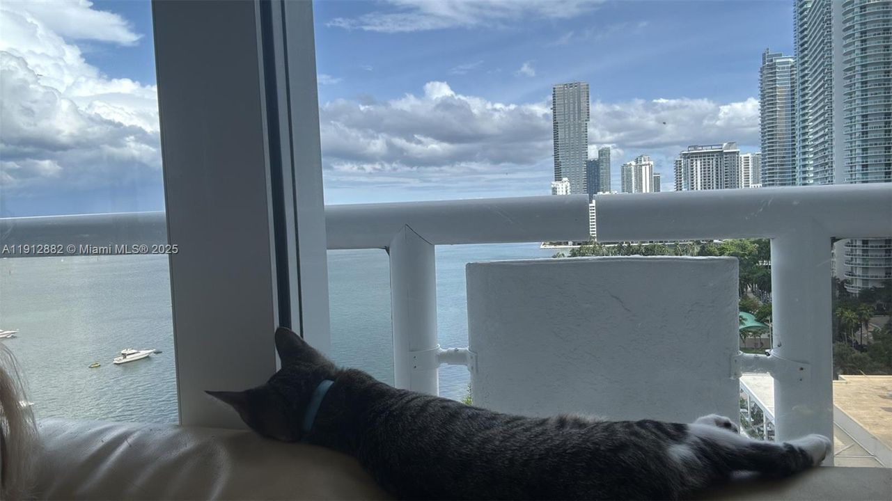 For Sale: $995,000 (2 beds, 2 baths, 1717 Square Feet)