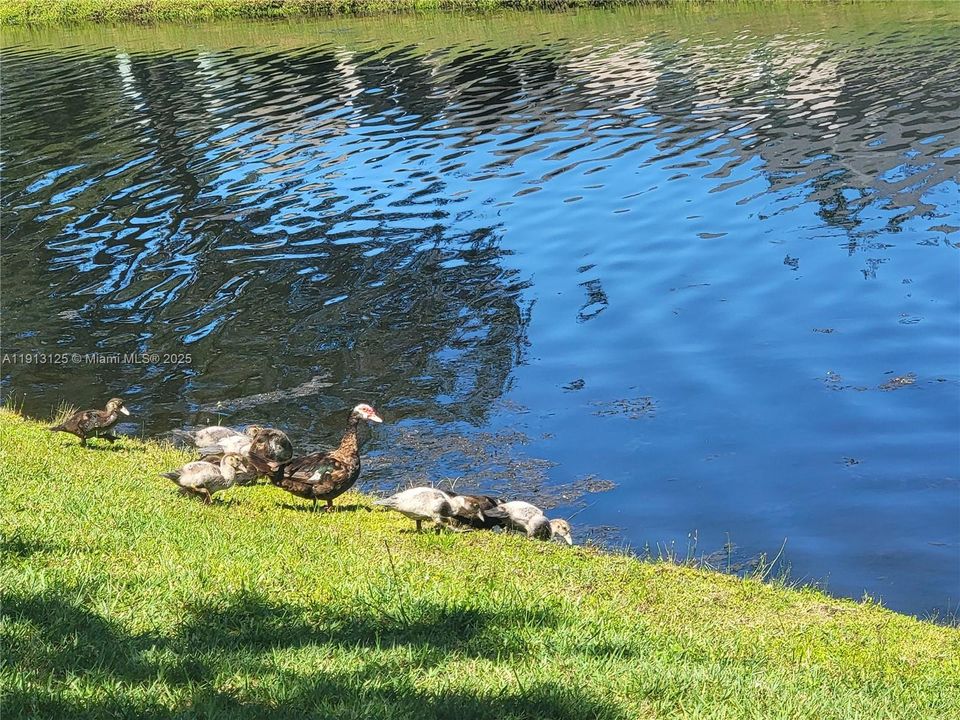 For Sale: $330,000 (4 beds, 2 baths, 1982 Square Feet)