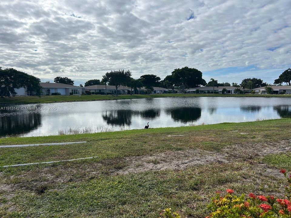 En Venta: $230,000 (2 camas, 1 baños, 908 Pies cuadrados)