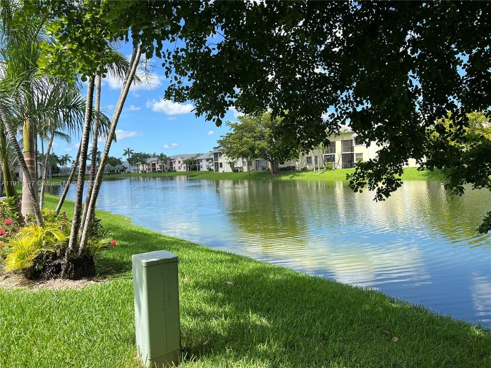 出租: $2,100 (3 贝兹, 2 浴室, 1195 平方英尺)