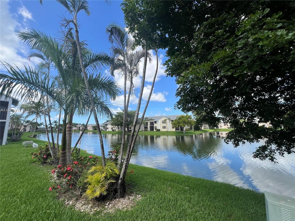 出租: $2,100 (3 贝兹, 2 浴室, 1195 平方英尺)