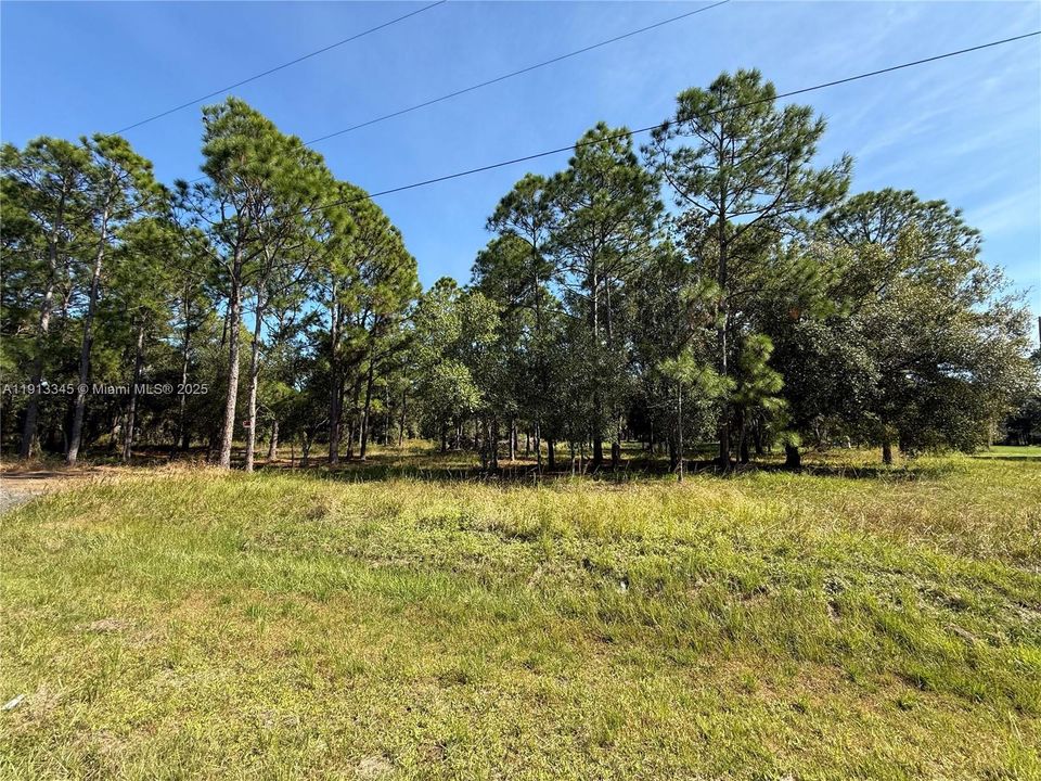 For Sale: $52,500 (1.09 acres)