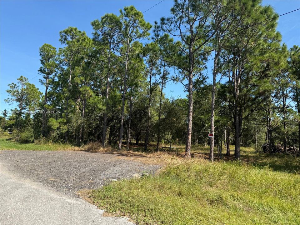 For Sale: $52,500 (1.09 acres)