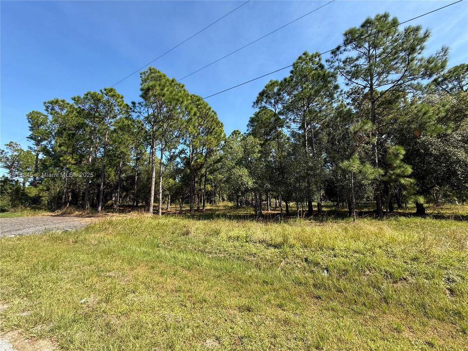 For Sale: $52,500 (1.09 acres)