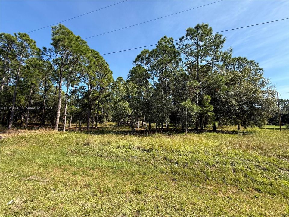 For Sale: $52,500 (1.09 acres)