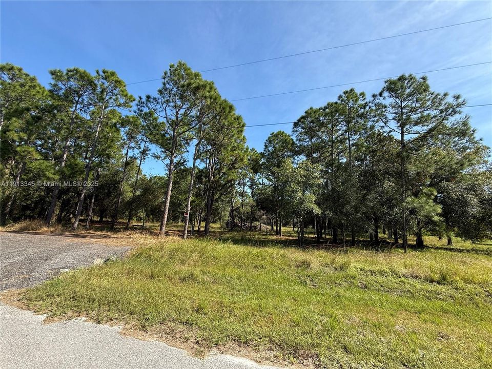 For Sale: $52,500 (1.09 acres)