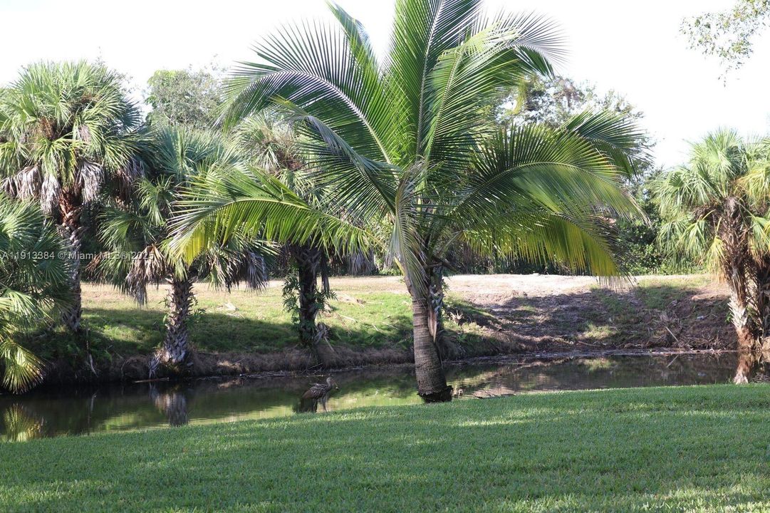 На продажу: $75,000 (2 спален, 2 ванн, 1160 Квадратных фут)