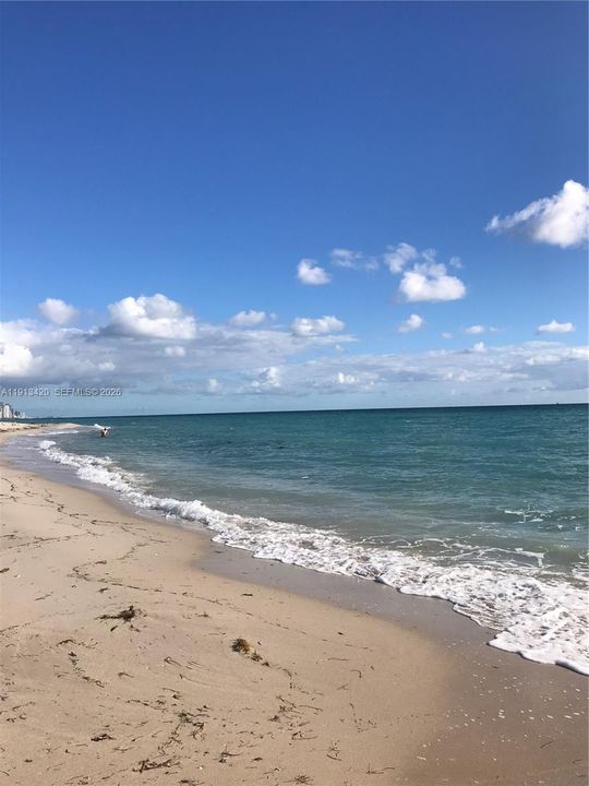 Active With Contract: $1,950 (1 beds, 1 baths, 864 Square Feet)