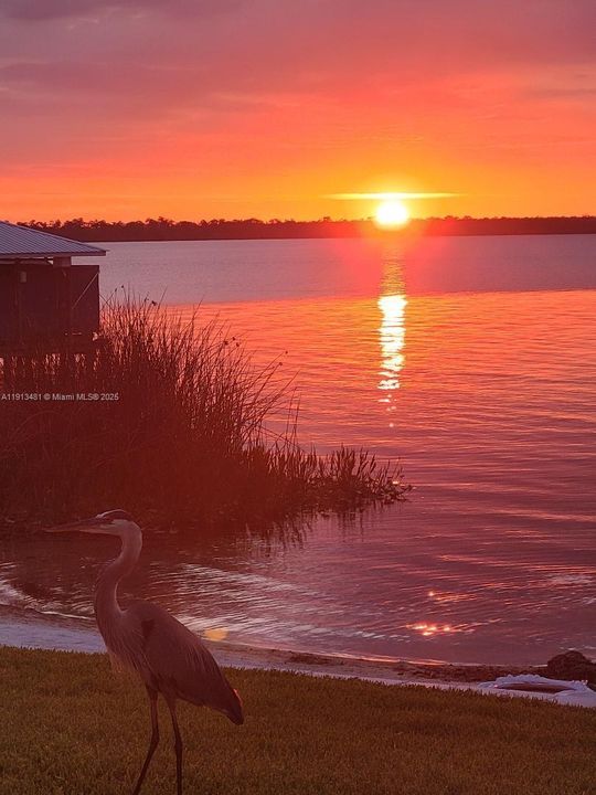 For Sale: $549,000 (3 beds, 2 baths, 1817 Square Feet)