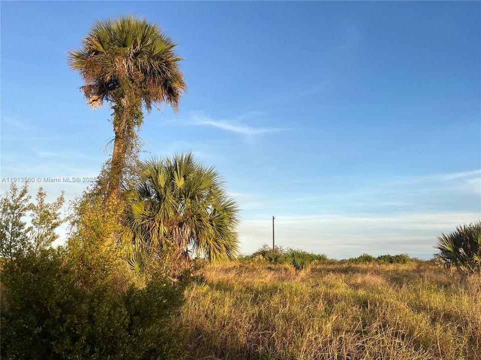 待售: $26,000 (0.30 acres)