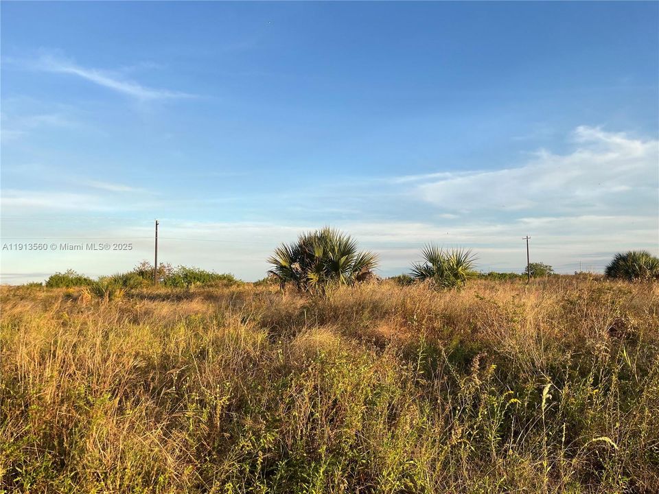 待售: $26,000 (0.30 acres)