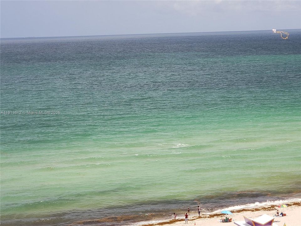 For Sale: $825,000 (1 beds, 1 baths, 818 Square Feet)