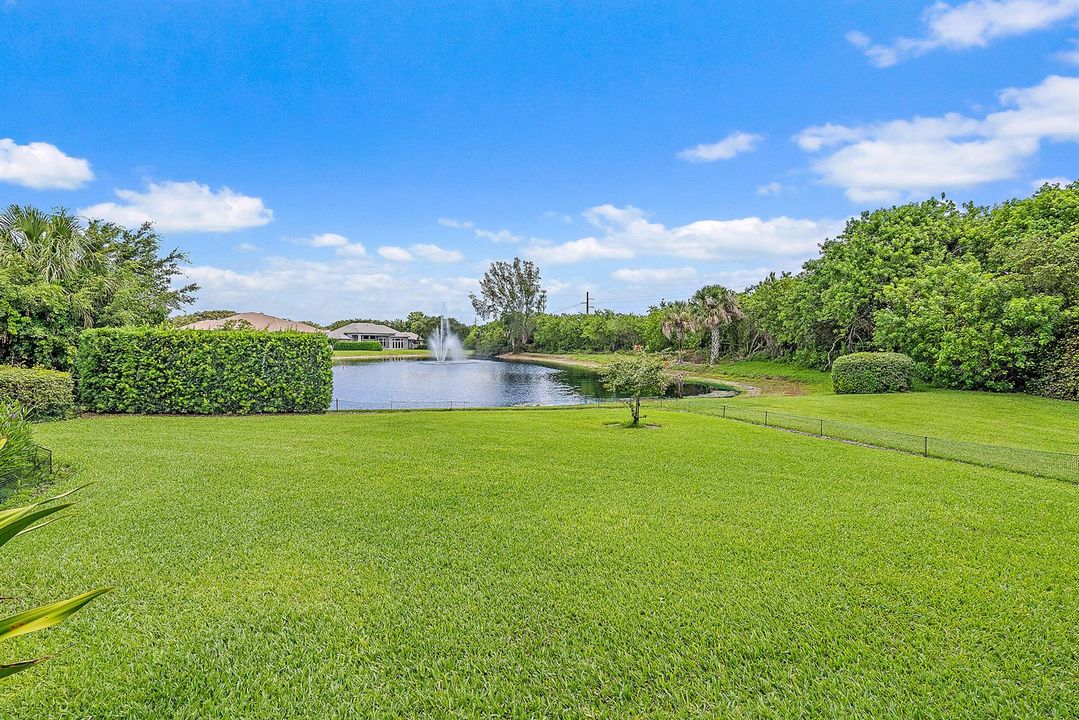 Pond View