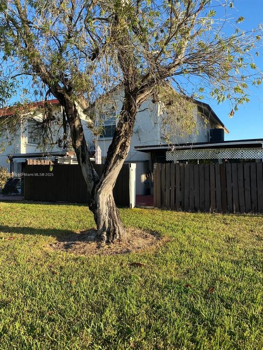 For Sale: $465,000 (3 beds, 2 baths, 1565 Square Feet)