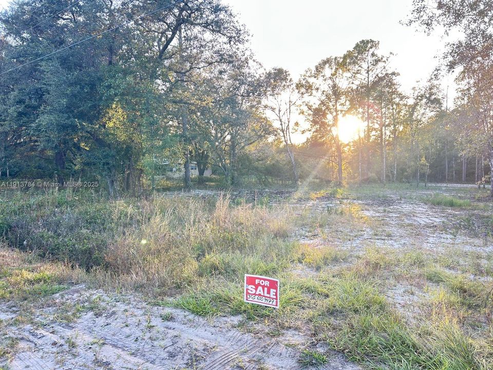 На продажу: $59,000 (1.14 acres)