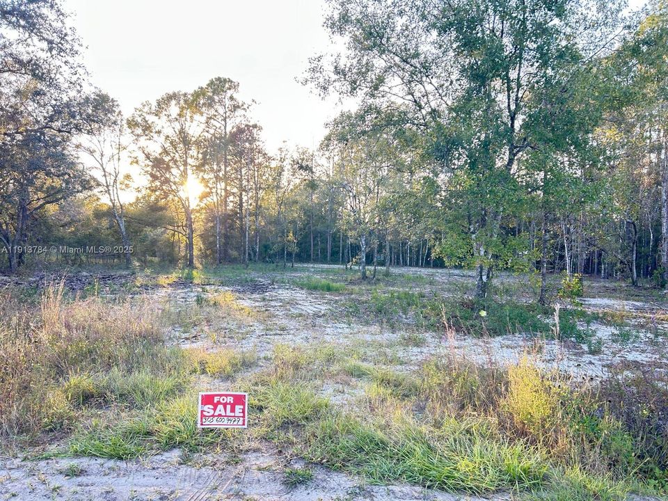 На продажу: $59,000 (1.14 acres)