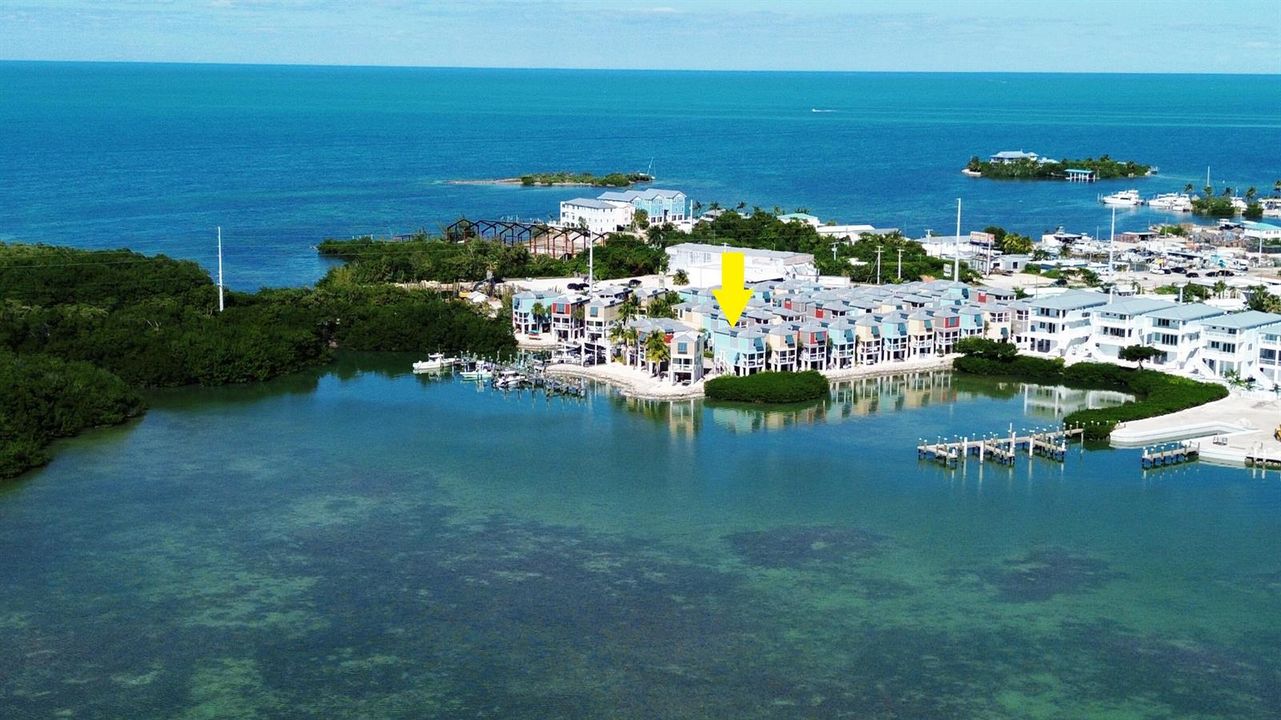 Premier Oceanfront
