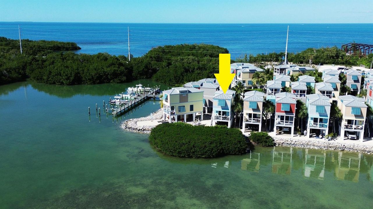 Premier Oceanfront