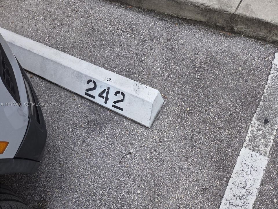 BACK YARD RETRACTABLE AWNING