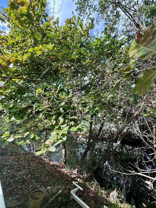 На продажу: $699,000 (5 спален, 2 ванн, 3124 Квадратных фут)