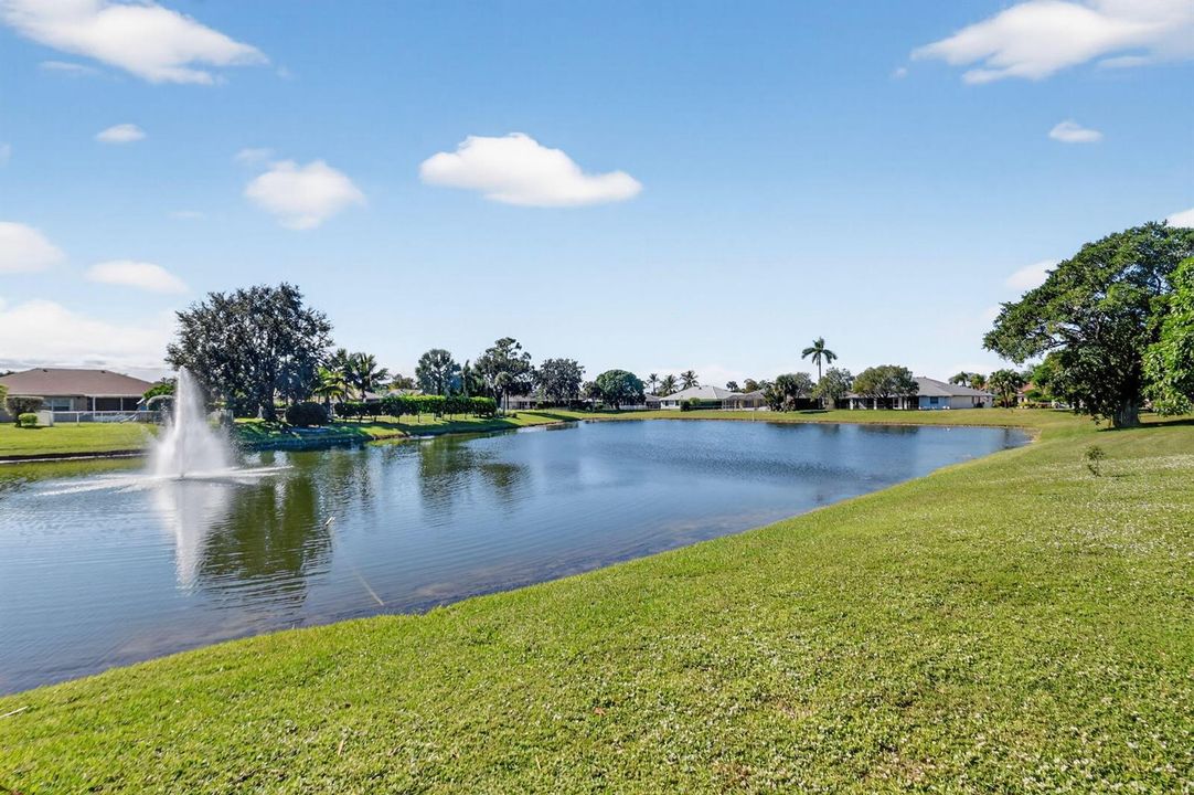 Lake view