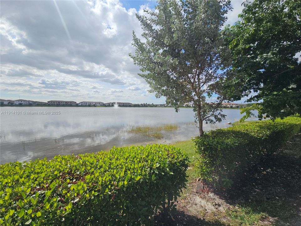 出租: $3,150 (3 贝兹, 2 浴室, 1483 平方英尺)