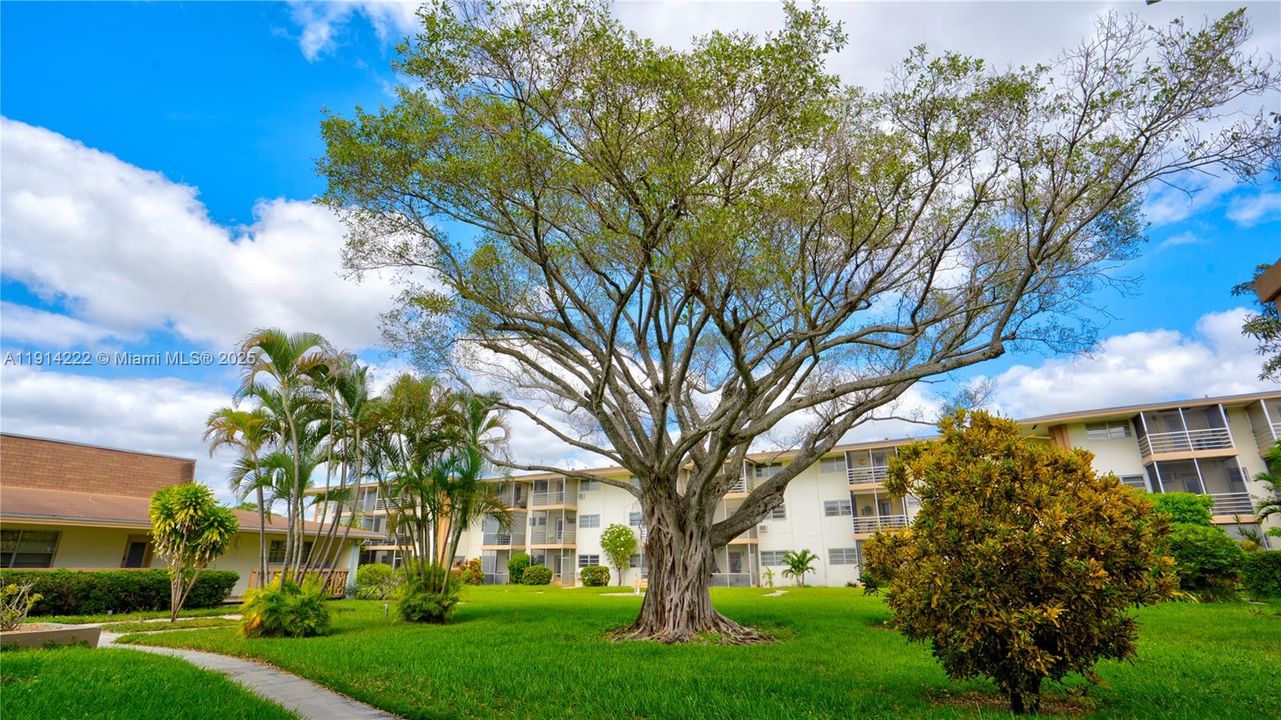 For Sale: $93,500 (1 beds, 1 baths, 688 Square Feet)