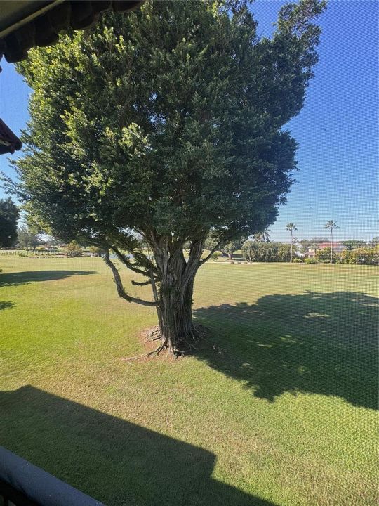 En Renta: $1,500 (1 camas, 1 baños, 900 Pies cuadrados)