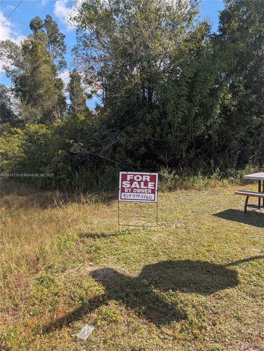 На продажу: $59,000 (0.29 acres)