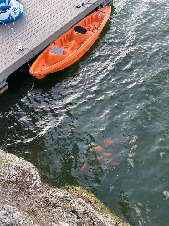 For Rent: $15,000 (5 beds, 4 baths, 4084 Square Feet)