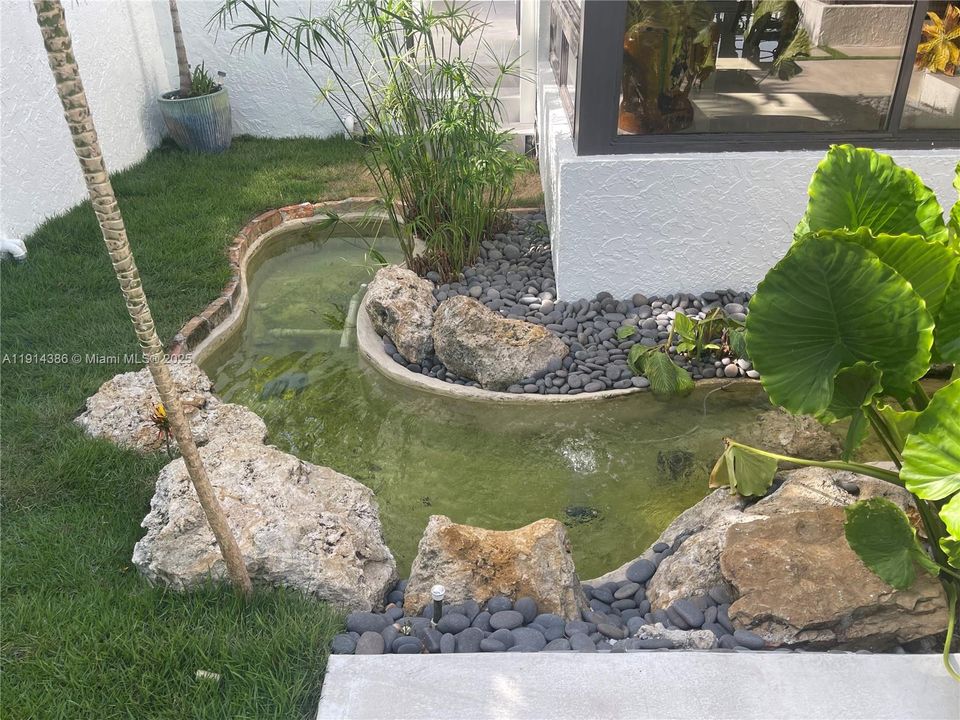 Koi pond and orchid house
