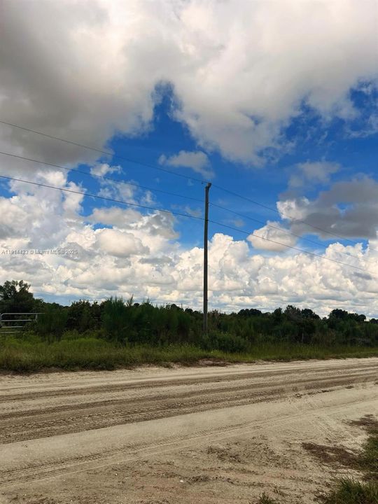 For Sale: $38,999 (1.25 acres)