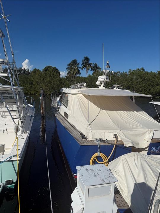 待售: $620,000 (没有数据)