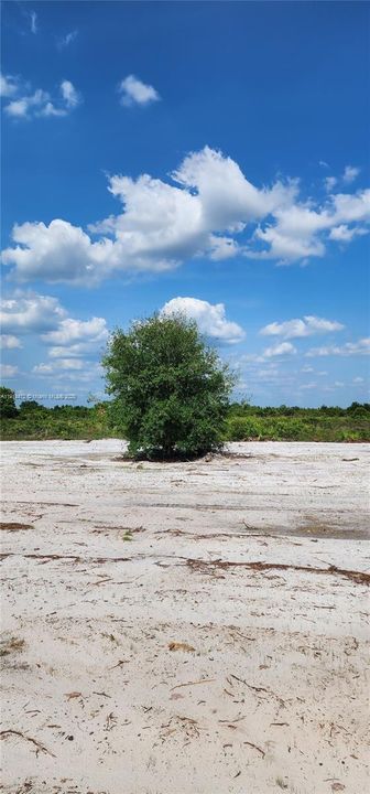 For Sale: $39,999 (1.25 acres)