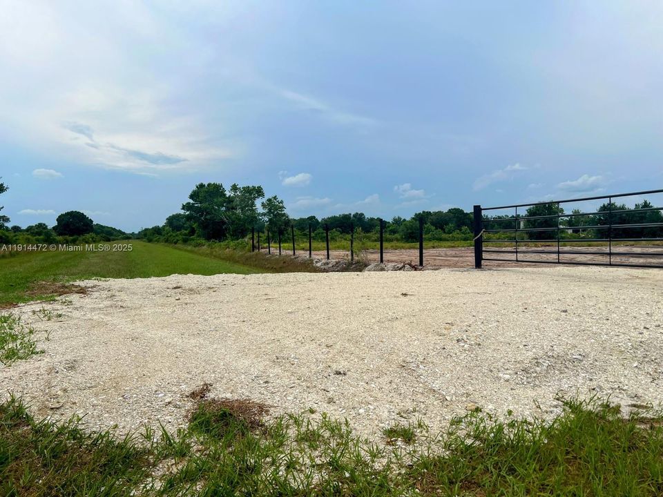 For Sale: $39,999 (1.25 acres)
