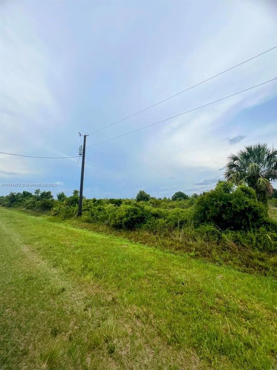 For Sale: $39,999 (1.25 acres)